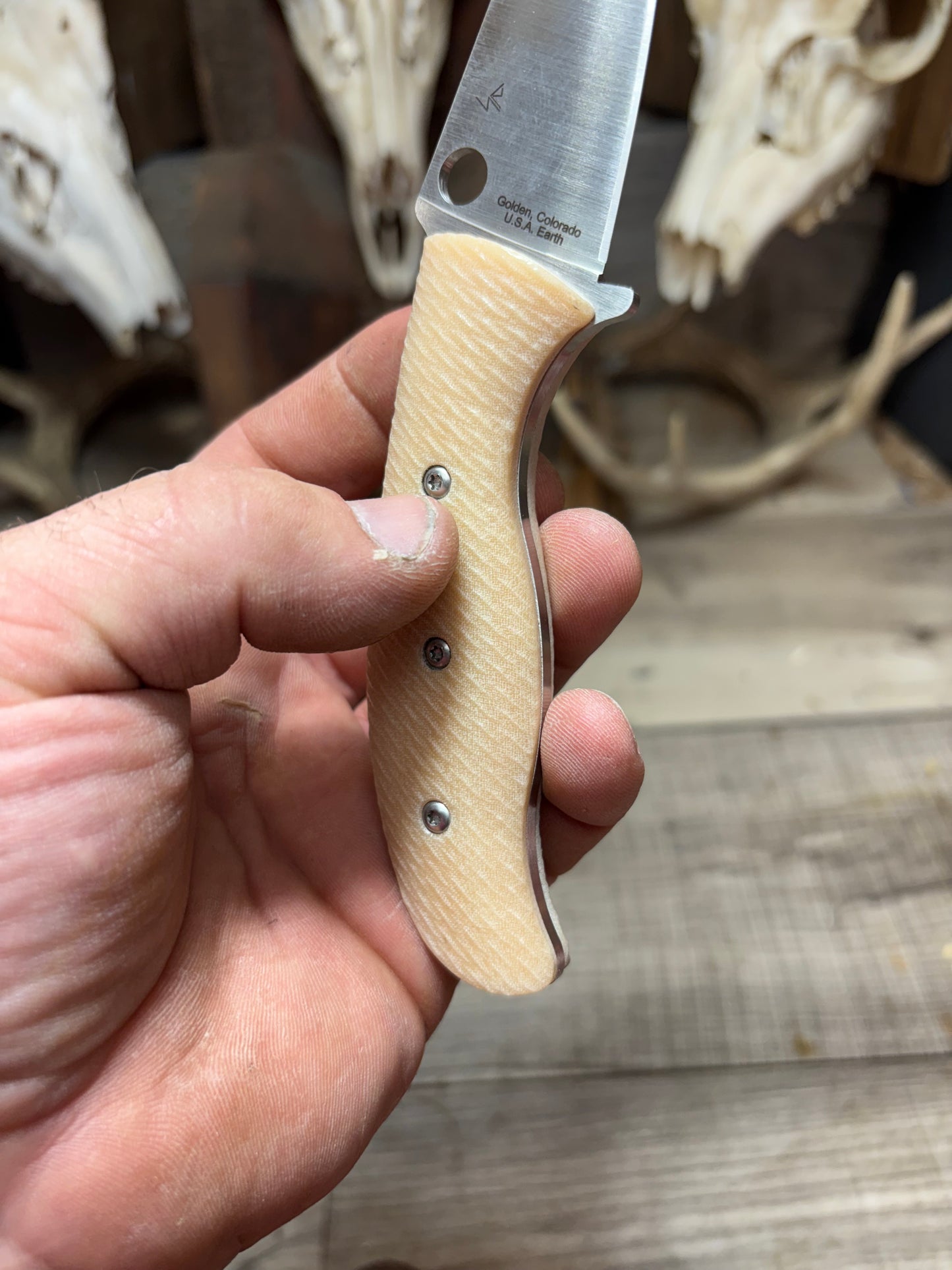 Spyderco Mule handles