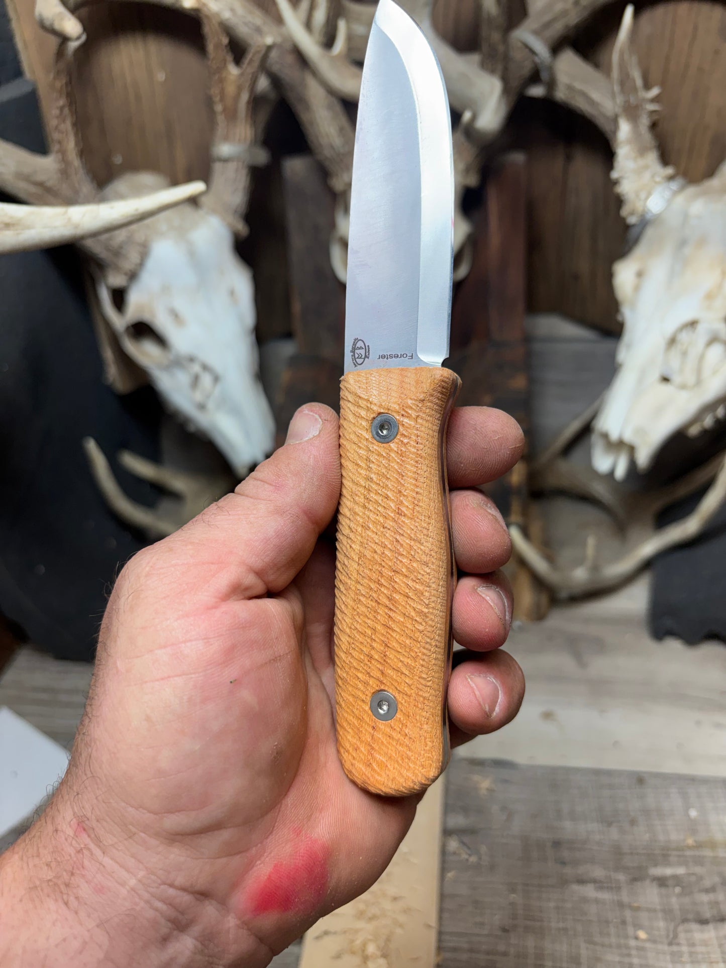 WTG Forester / Voyager Honey Locust Handles