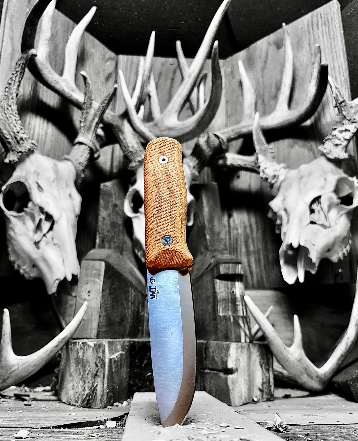 WTG Forester / Voyager Honey Locust Handles