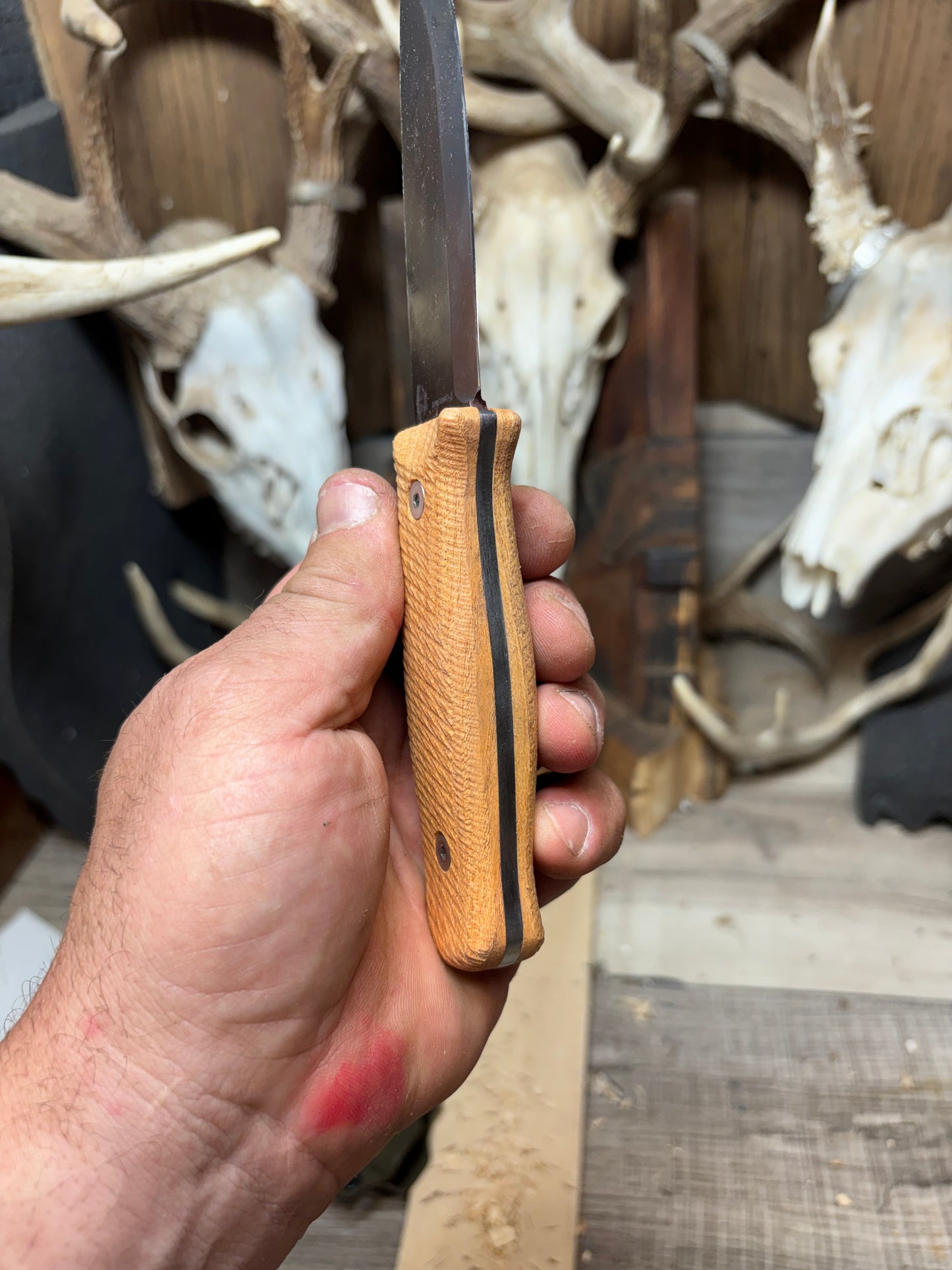 WTG Forester / Voyager Honey Locust Handles