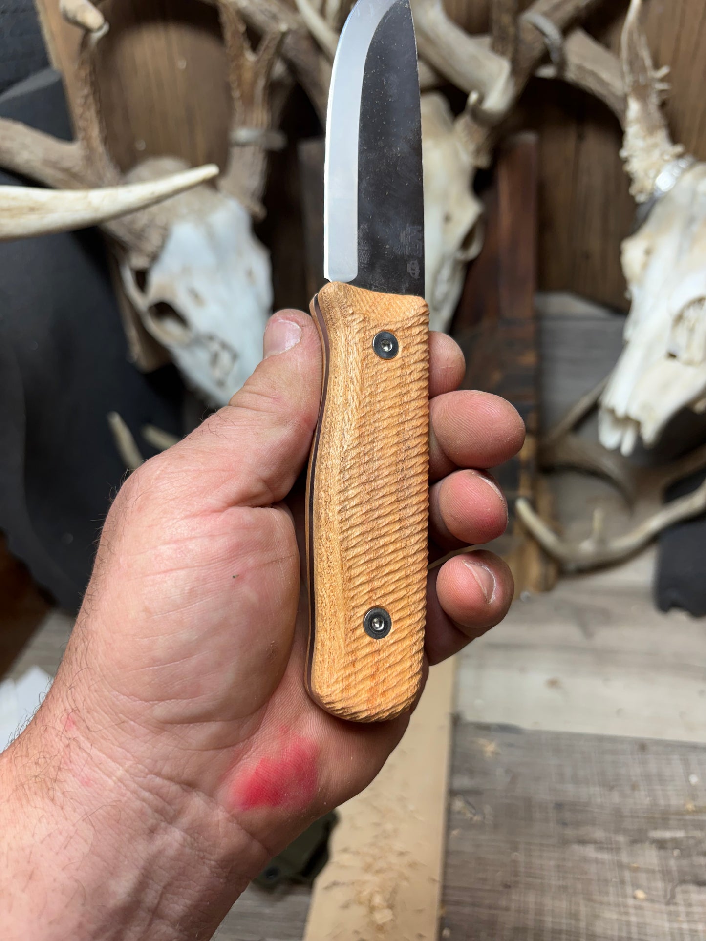 WTG Forester / Voyager Honey Locust Handles