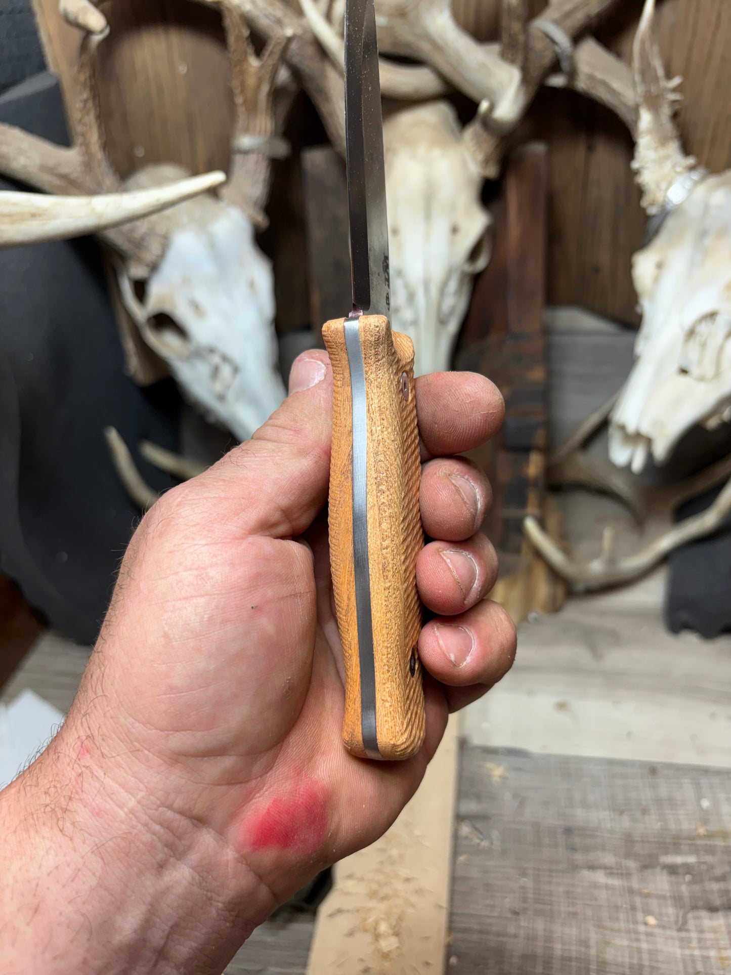 WTG Forester / Voyager Honey Locust Handles