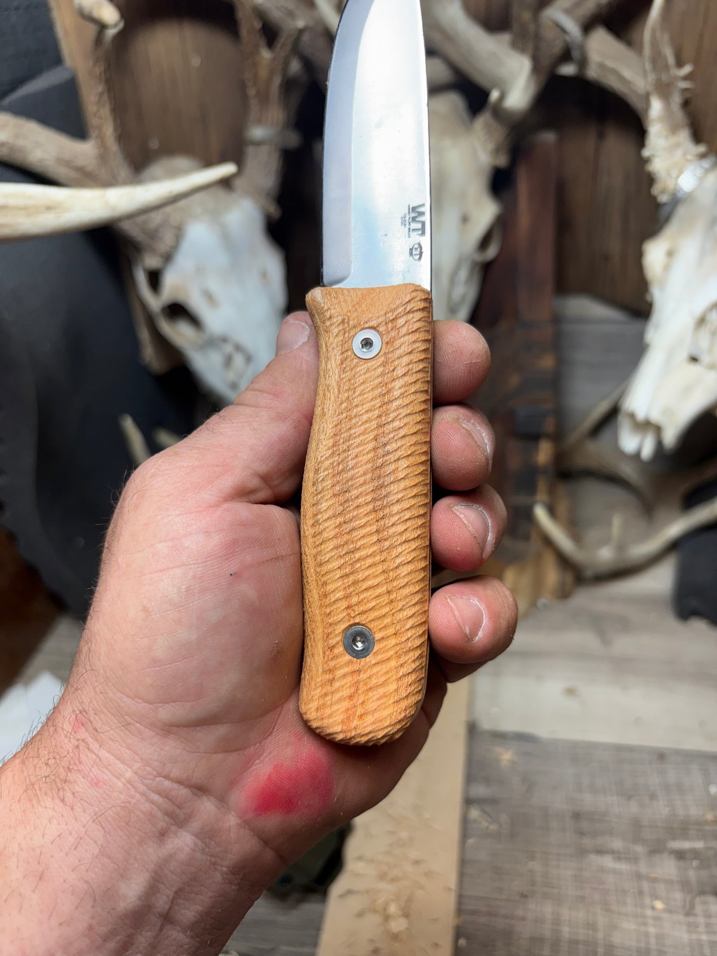 WTG Forester / Voyager Honey Locust Handles