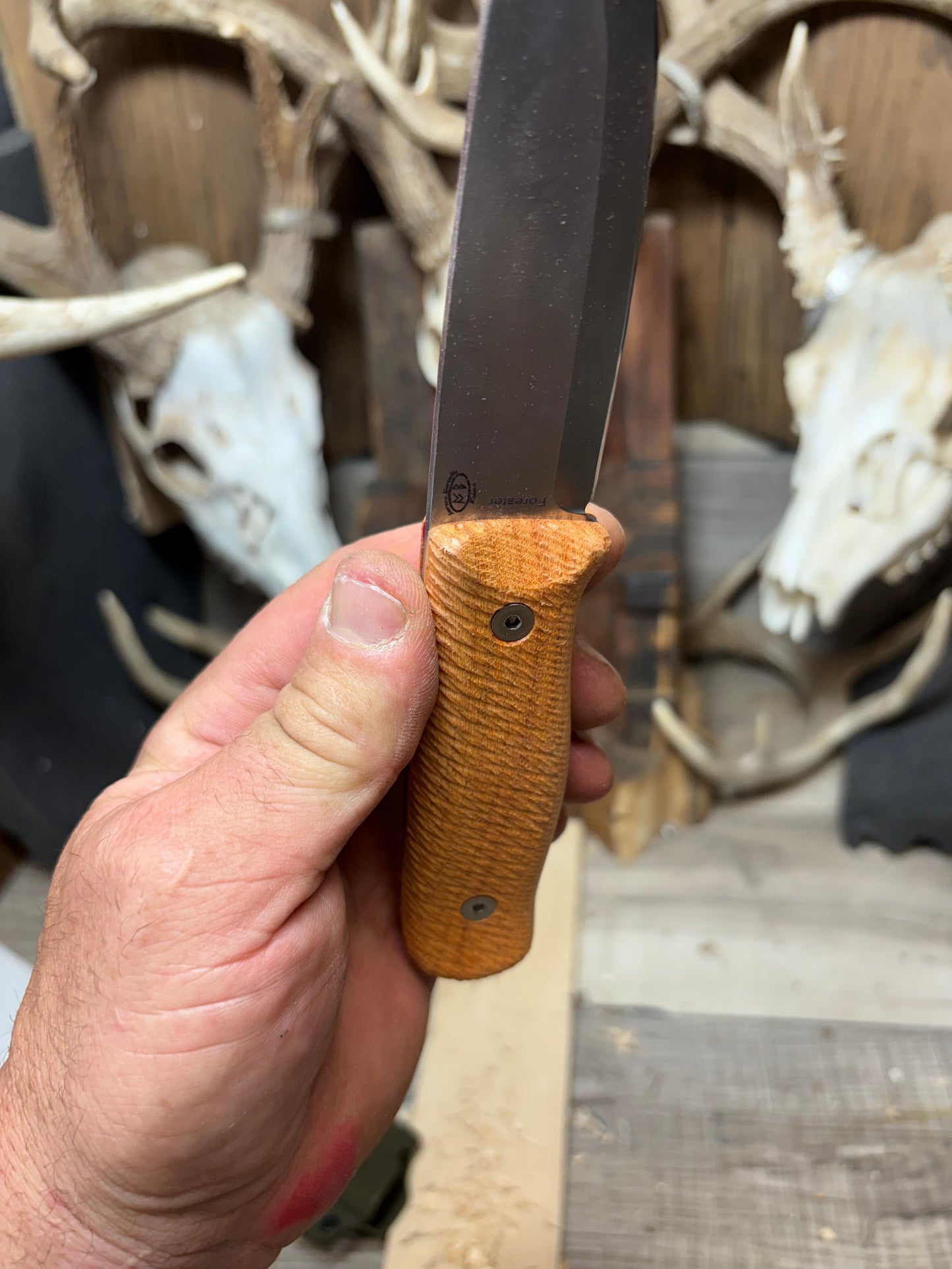 WTG Forester / Voyager Honey Locust Handles